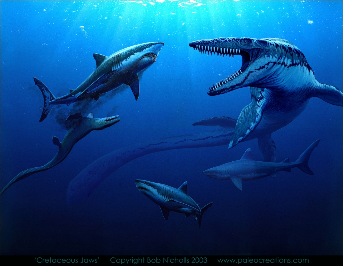 Paleo Gallery - Kronos Rising photos