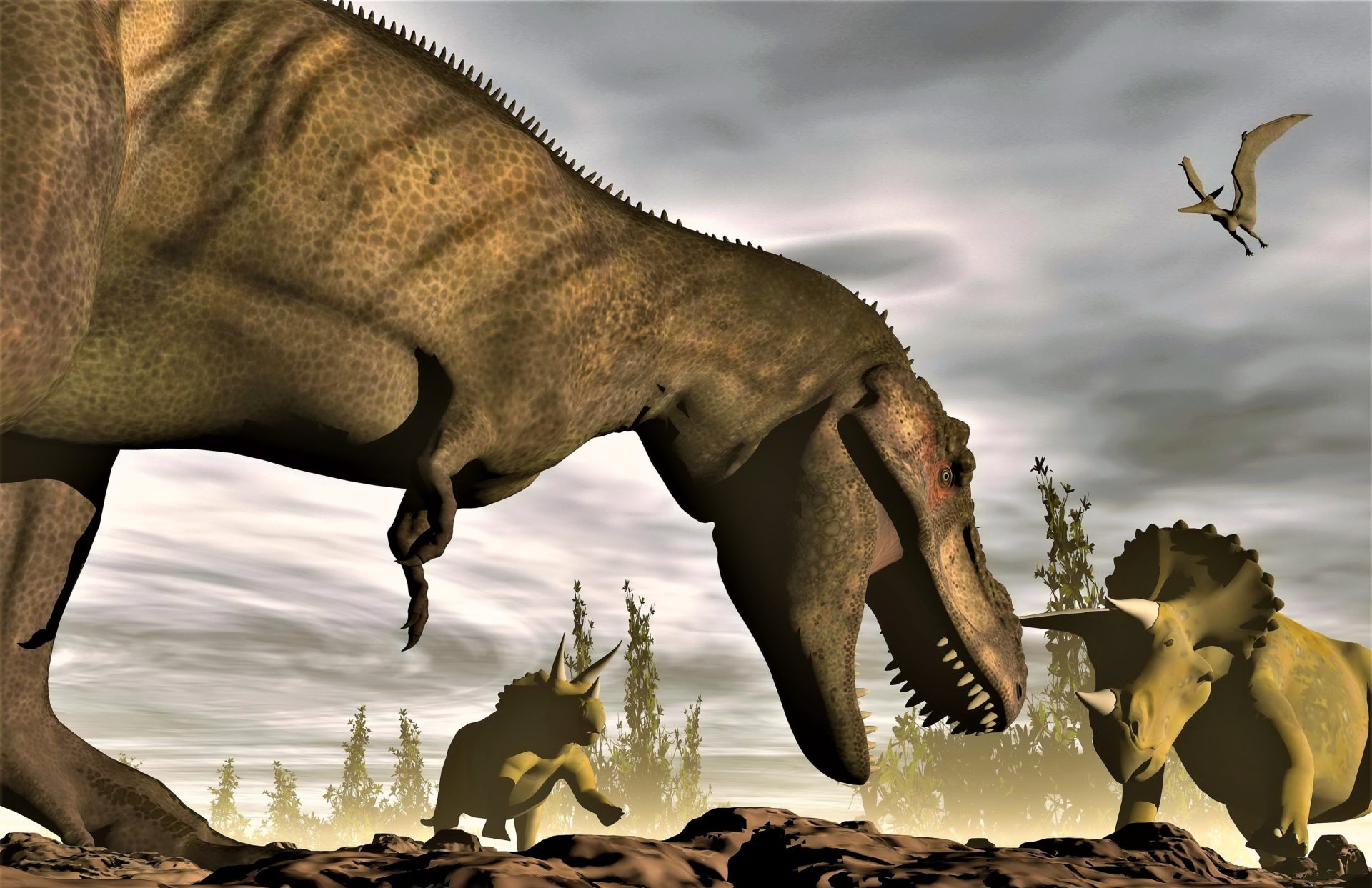 Solving the Mystery of Why Tyrannosaurus Rex Had Such Tiny ...
