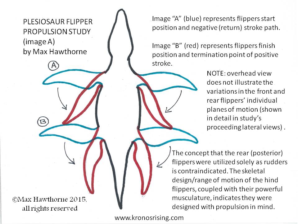 PLESIOSAUR FACTS: SWIMMING METHOD 