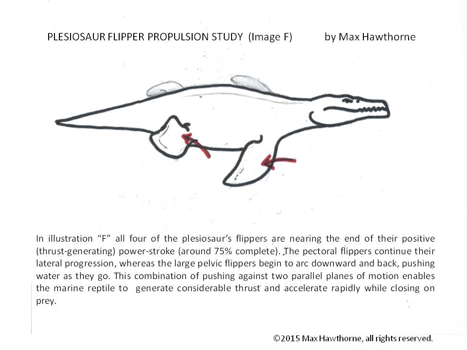 more plesiosaur facts