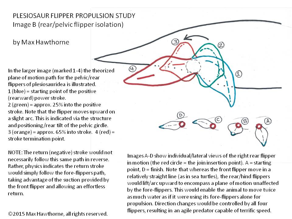 PLESIOSAUR Swimming