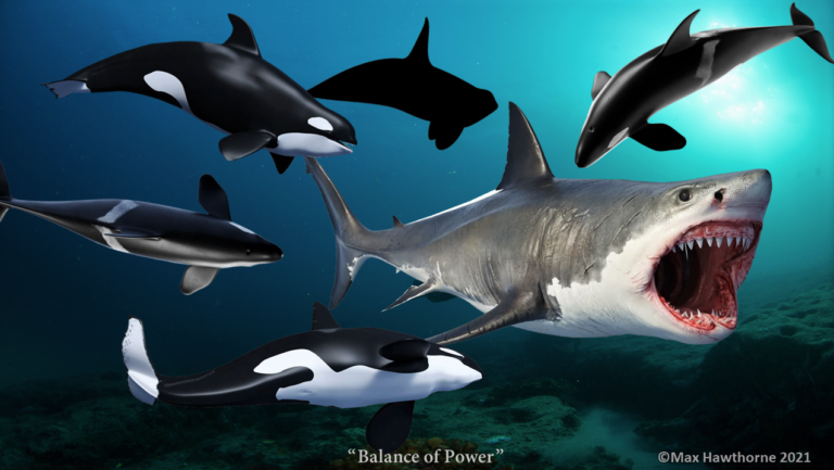 Megalodon Vs Orca [Killer Whale]: Who Would Win? by Max Hawthorne