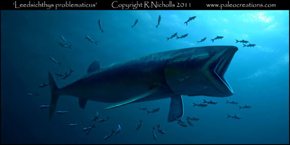 Leedsichthys, by Robert Nicholls