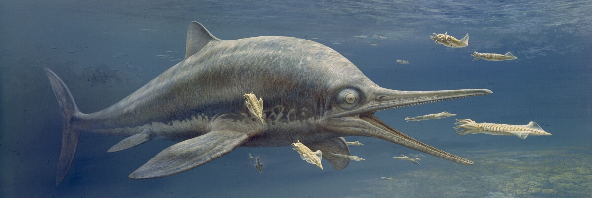 Charmouth ichthyosaur - Leptopterygius, by John Sibbick