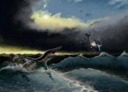 Pliosaur and shark, by Ivan