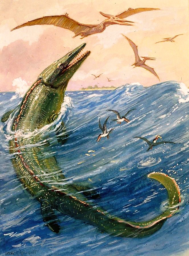 Mosasaur and Pteranodon by Charles R Knight