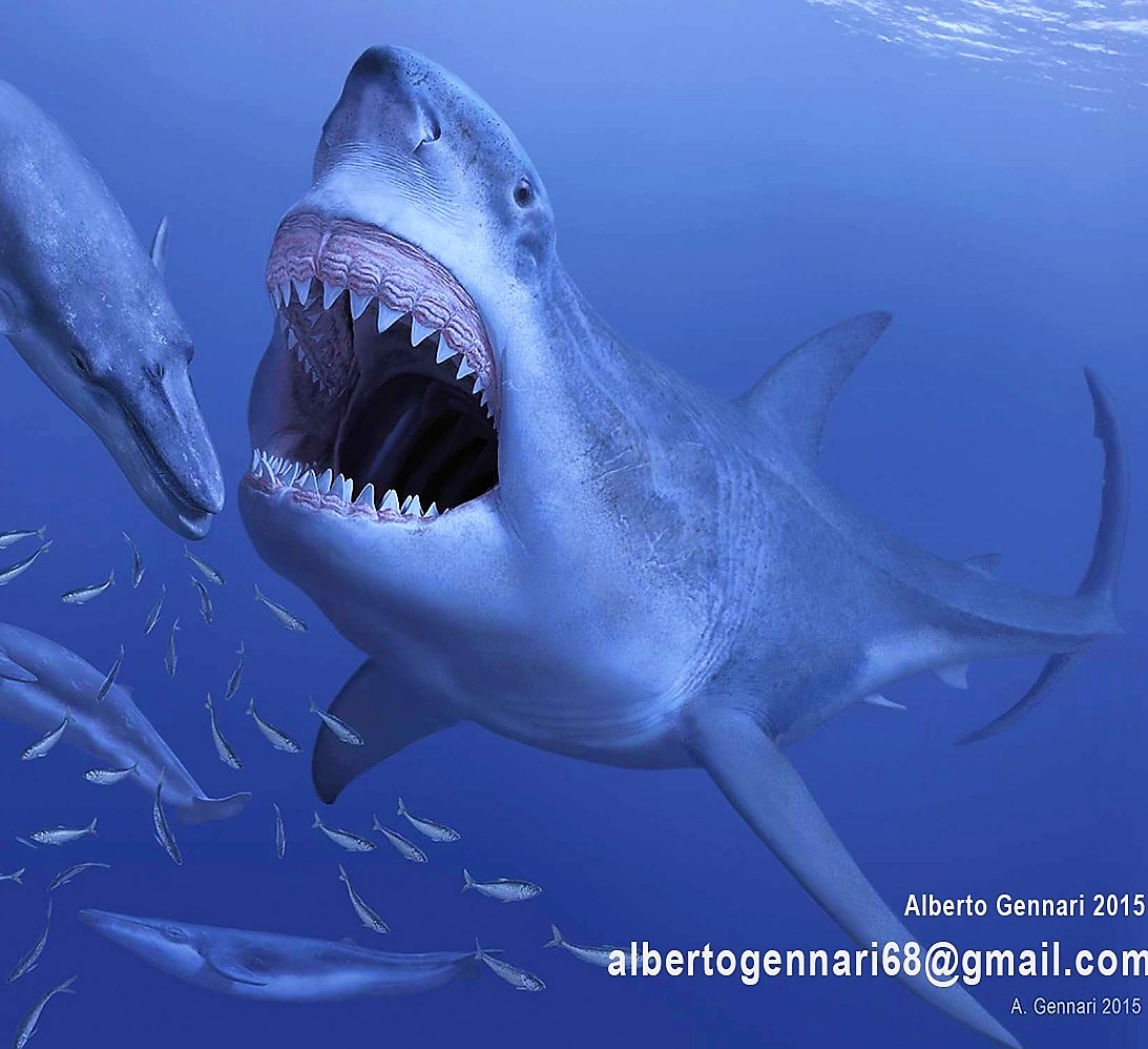 <a href="https://science.einnews.com/pr_news/573463200/the-biggest-megalodon-sharks-were-moms-and-lived-in-warm-water-not-cold">The Biggest Megalodon Sharks Were Moms and Lived in Warm Water, Not Cold</a>