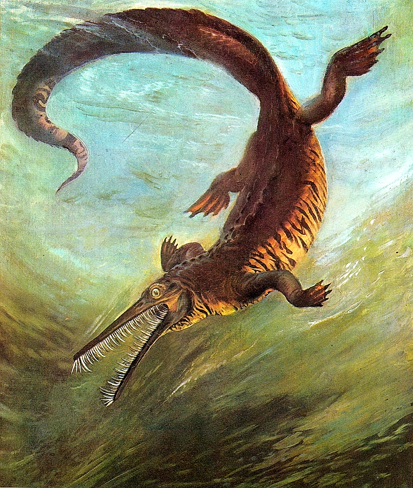 Mesosaurus, by Zdenek Burian