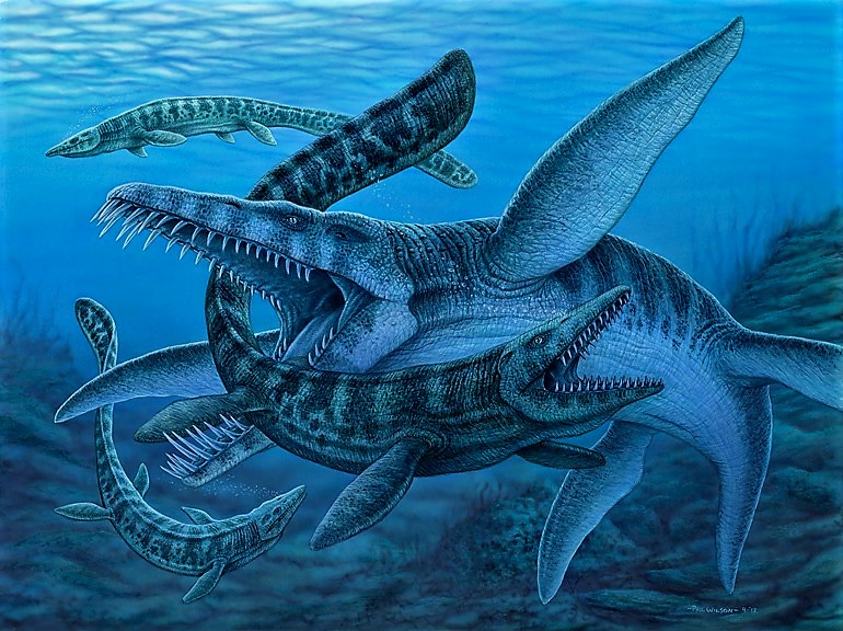 The pliosaur Brachauchenius attacks a mother Tylosaurus in the Western Interior Sea, by Phil Wilson