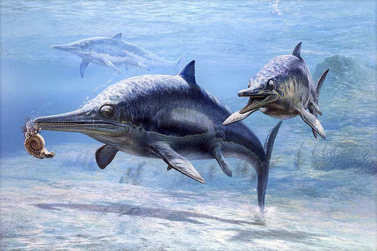 Brachypterygius (Ichthyosaur) by John Sibbick