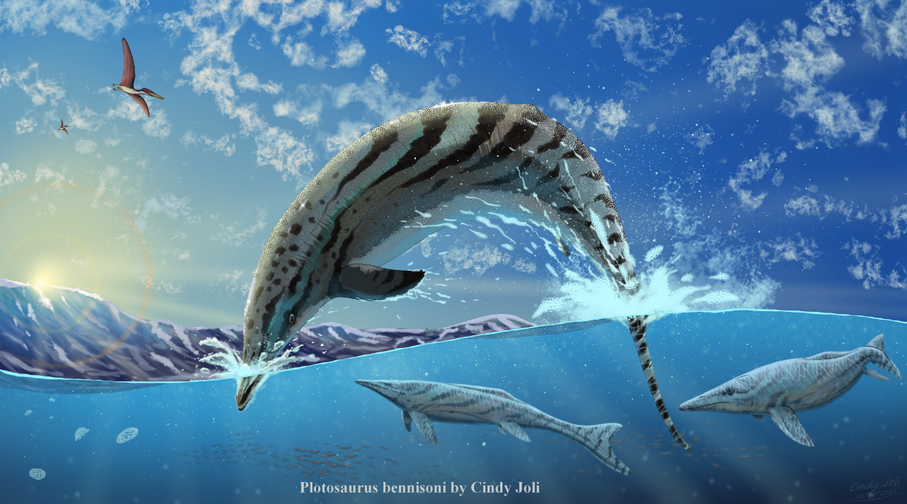 The Ichthyosaur Plotosaurus by Cindy Joli