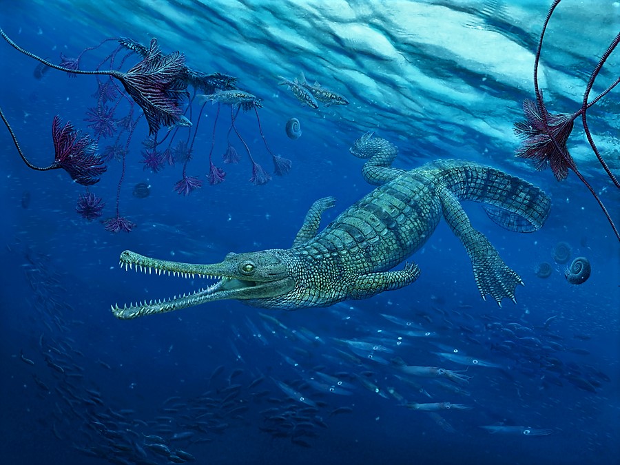 Steneosaurus by Nikolay Zverkov