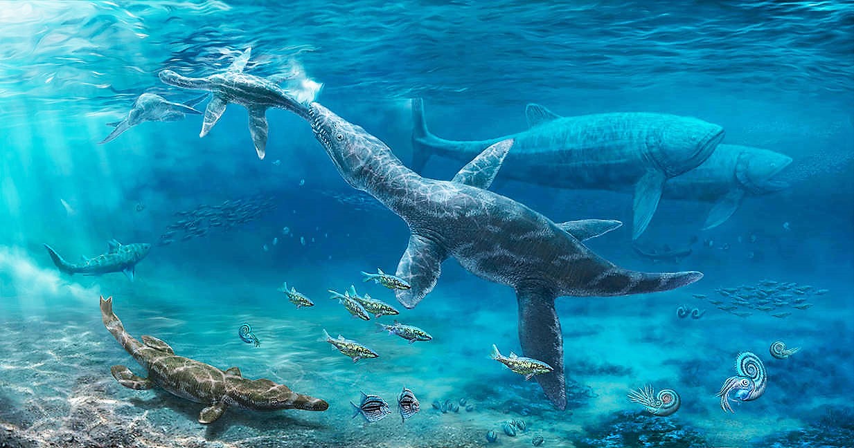 Mid-Jurassic Marine Fauna by Nikolay Zverkov
