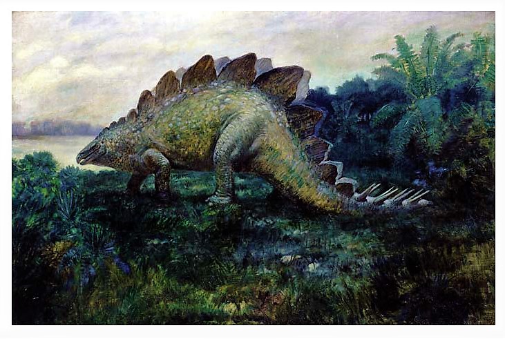 Stegosaurus, by Charles R. Knight