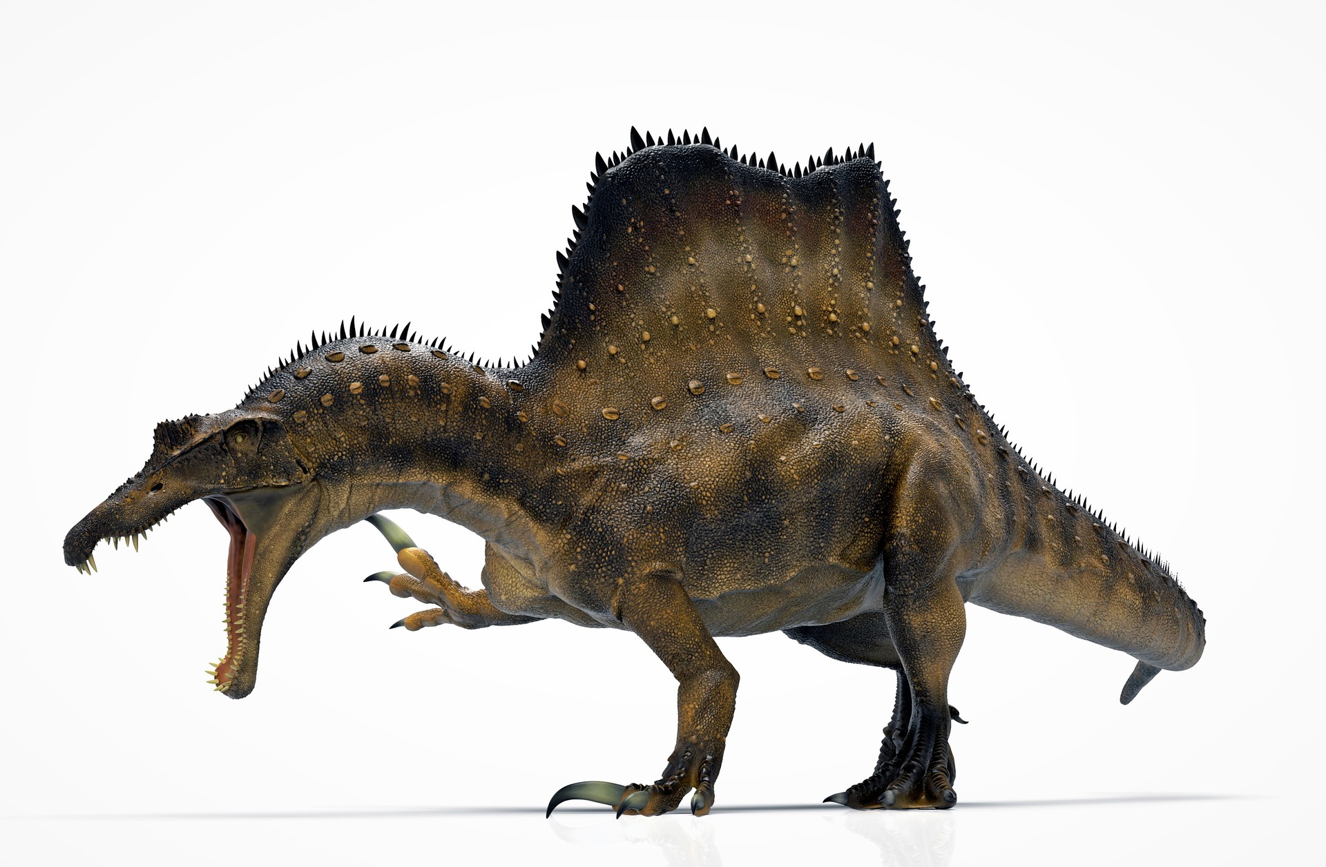 Spinosaurus prepares to use its huge claws to defend itself, possibly against Carcharodnotsaurus.