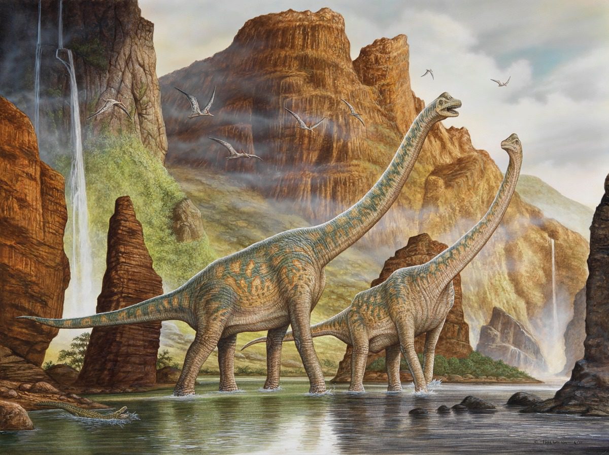 Brachiosaurus & Crocodylomorph by Phil Wilson