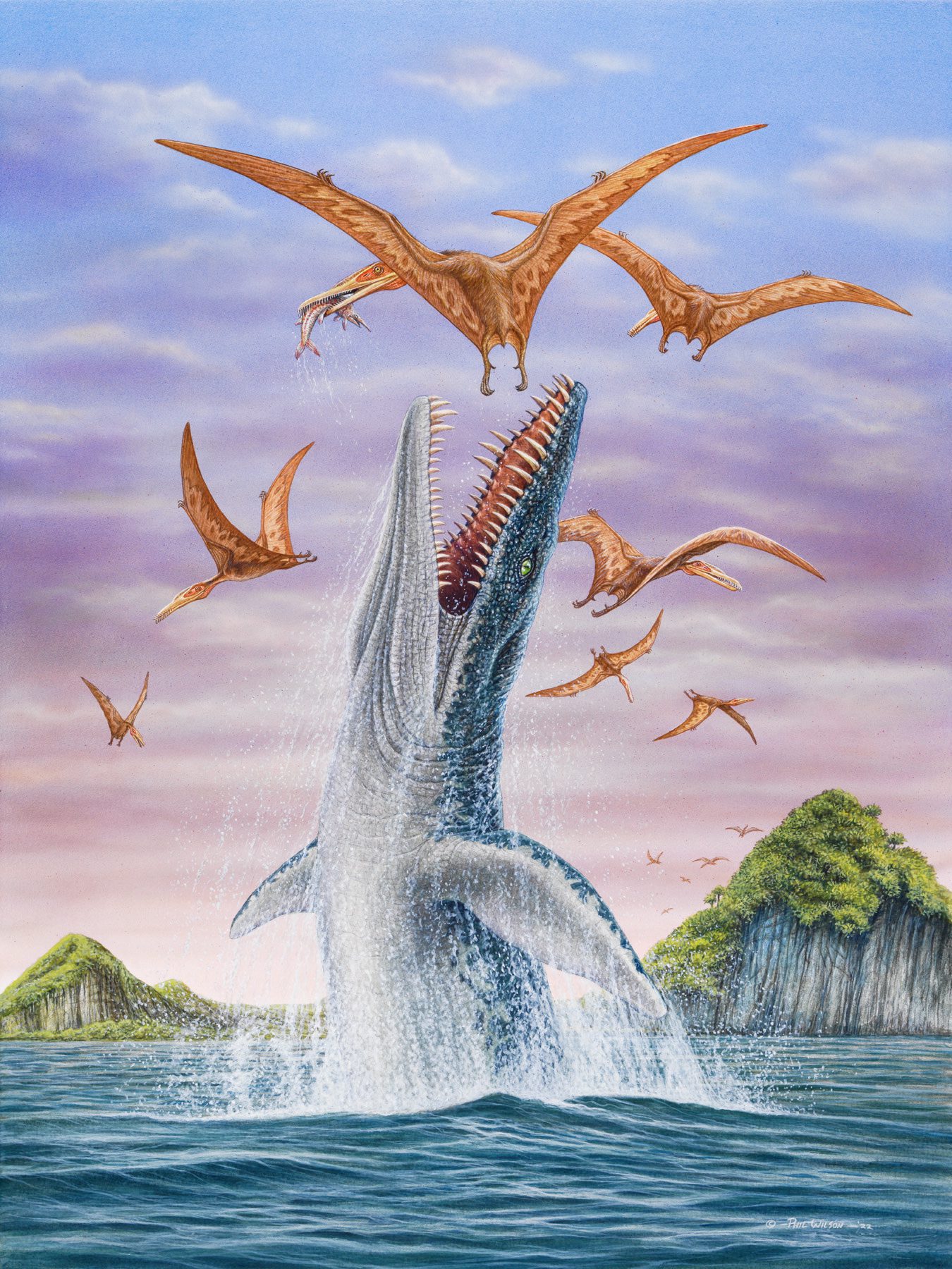 Liopleurodon & Gnathosaurus by Phil Wilson