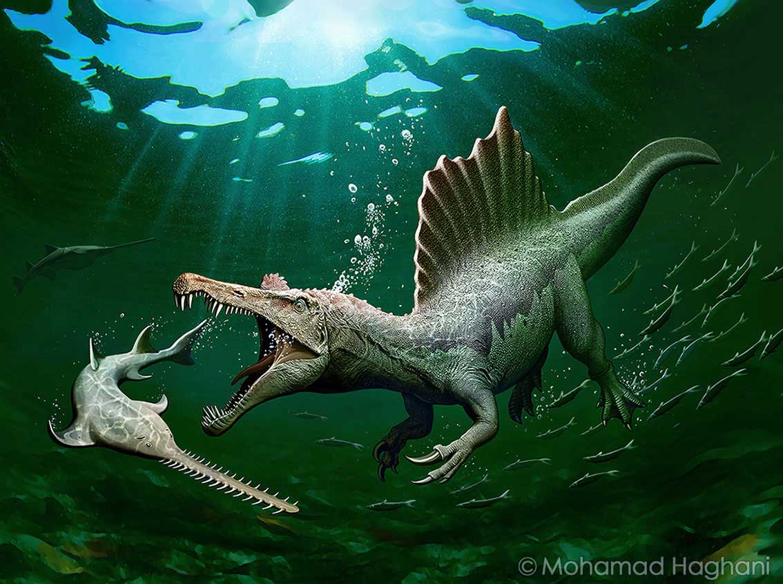 Spinosaurus vs Onchopristis by Mohamad Haghani